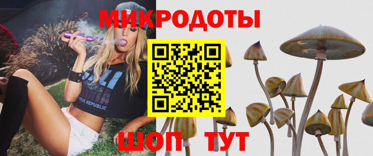 Галлюциногенные грибы Psilocybine cubensis Ялта