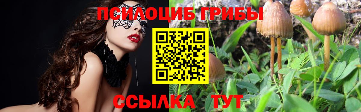 Ялта  Галлюциногенные грибы Magic Shrooms  Вход с VPN 